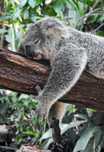 POSES TO PROMOTE SLEEP